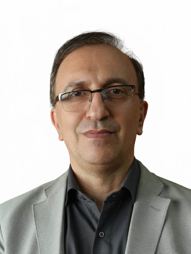 محسن سلطان پور